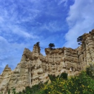Perpignan, Ille-sur-Têt et Collioure ☀️.#france #city